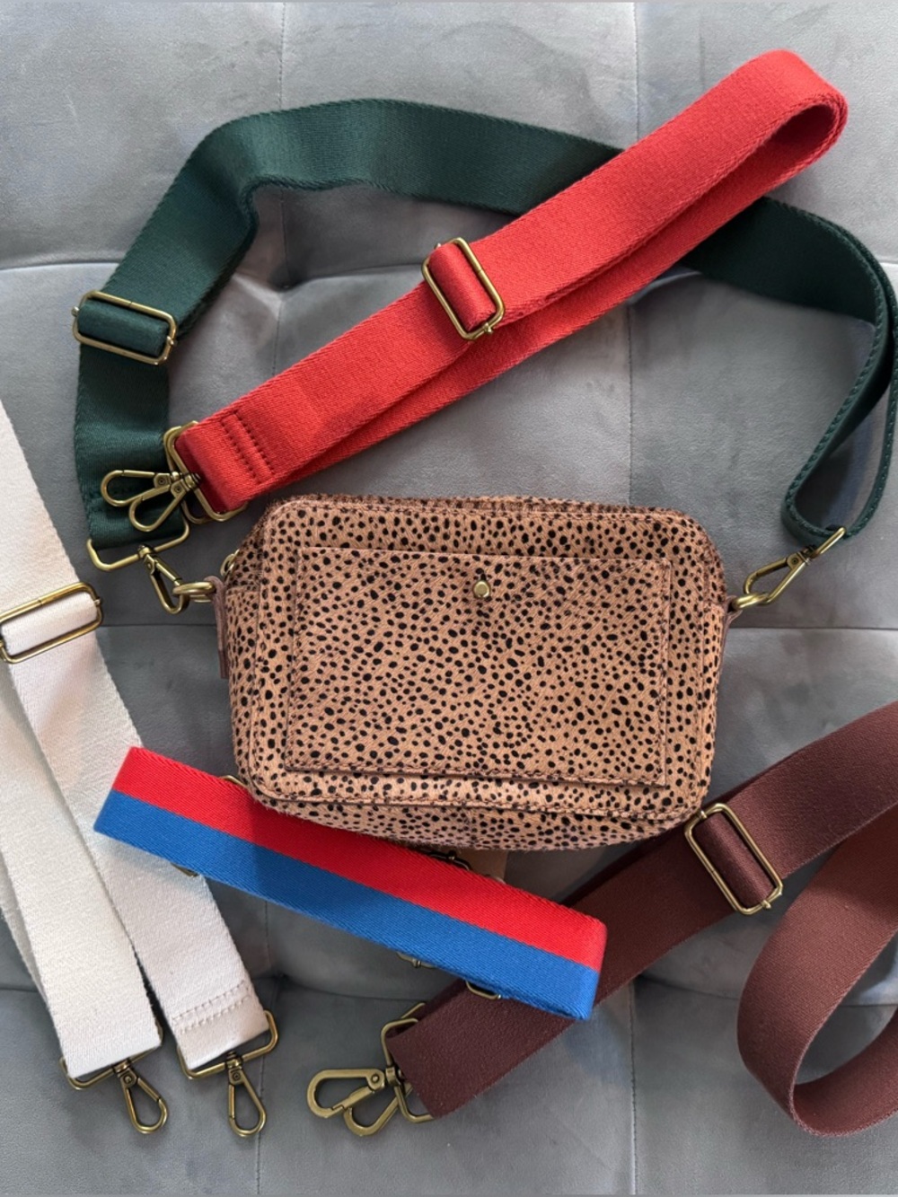Madewell Spotted Leopard Tiger Calf Hair Dotted Transport Crossbody Camera Bag
